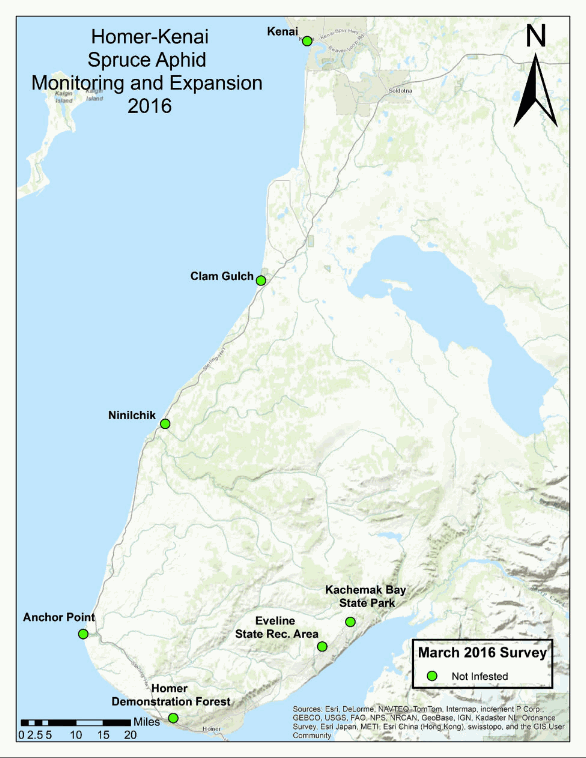 Kenai Peninsula Spruce Aphid Surveys: March, May, June October.